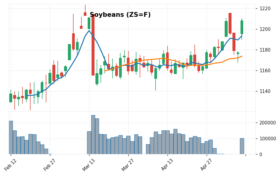 大豆先物 candlestick chart